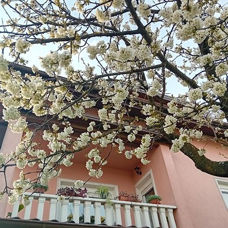 Apartman Nada Krapina Extérieur photo