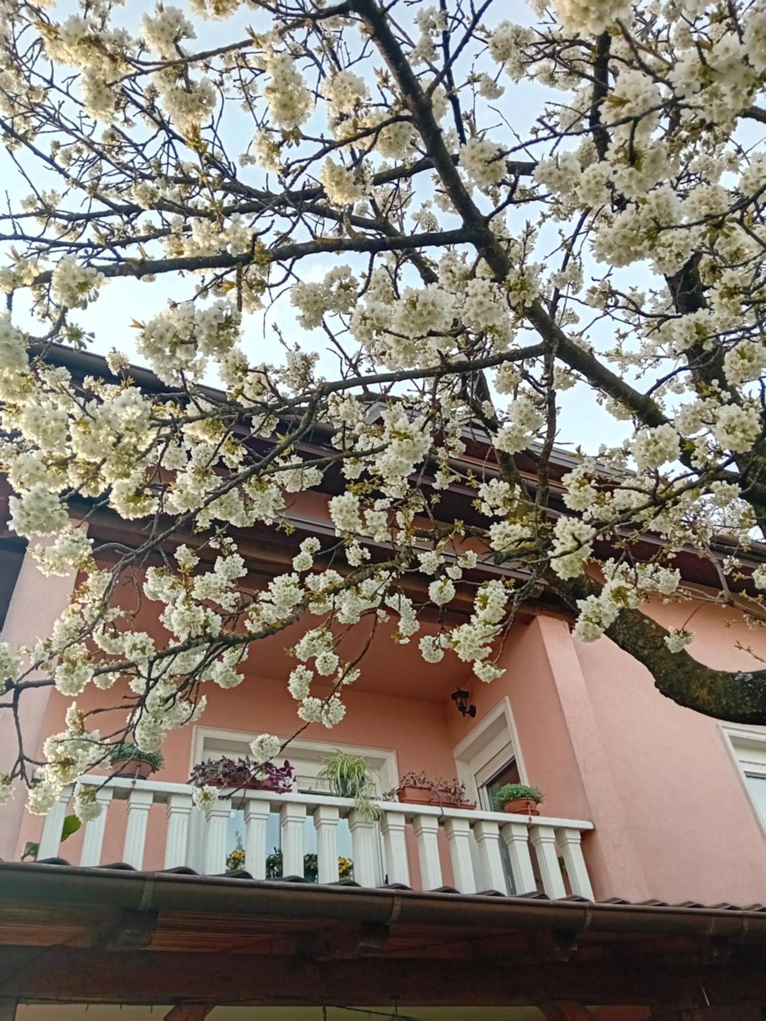 Apartman Nada Krapina Extérieur photo